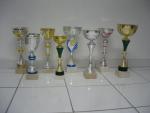 Lot de 8 coupes neuves
