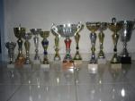 Lot de 12 coupes