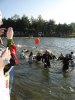 Filename=roth-ironman-3-50.JPG
Filesize=54KB
Dimensions=375x500
Date added=Jul 05, 2005 roth-ironman-3-50.JPG
