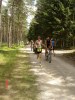 Filename=roth-ironman-3-73.JPG
Filesize=72KB
Dimensions=375x500
Date added=Jul 05, 2005 roth-ironman-3-73.JPG