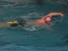 Dosya adı=aquathlon-rillieux-2006-15.JPG
Dosya büyüklüğü=60KB
Ölçüler=666x500
Eklenen tarih=Mrt 20, 2006 aquathlon-rillieux-2006-15.JPG