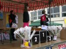 Filename=aquathlon-rillieux-2006-37.JPG
Filesize=85KB
Dimensions=640x480
Date added=Mar 20, 2006 aquathlon-rillieux-2006-37.JPG