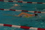 Файл=aquathlon-rillieux-2006-58.jpg
Розмір файлу=70KB
Розміри фото=640x424
Дата долучення=20 Бер 2006р. aquathlon-rillieux-2006-58.jpg