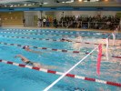Име : aquathlon-rillieux-2006-59.JPG
Големина : 95KB
Размери : 640x480
Дата на добавяне : март 20 2006 aquathlon-rillieux-2006-59.JPG