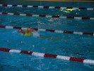 Име : aquathlon-rillieux-2006-60.jpg
Големина : 78KB
Размери : 640x480
Дата на добавяне : март 20 2006 aquathlon-rillieux-2006-60.jpg
