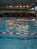 Име : aquathlon-rillieux-2006-61.jpg
Големина : 47KB
Размери : 360x480
Дата на добавяне : март 20 2006 aquathlon-rillieux-2006-61.jpg