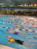 Име : aquathlon-rillieux-2006-76.jpg
Големина : 50KB
Размери : 360x480
Дата на добавяне : март 20 2006 aquathlon-rillieux-2006-76.jpg