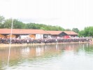 Filename=triathlon-bourg-04.JPG
Filesize=72KB
Dimensions=800x600
Date added=Jun 05, 2006 triathlon-bourg-04.JPG