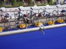 Filename=lausanne-triathlon-mondes-07.jpg
Filesize=88KB
Dimensions=800x600
Date added=Sep 14, 2006 lausanne-triathlon-mondes-07.jpg