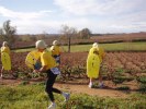 Filename=marathon-beaujolais-chenille-35.JPG
Filesize=85KB
Dimensions=800x600
Date added=Nov 19, 2006 marathon-beaujolais-chenille-35.JPG