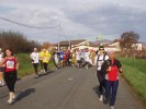 Filename=marathon-beaujolais-chenille-42.JPG
Filesize=73KB
Dimensions=800x600
Date added=Nov 19, 2006 marathon-beaujolais-chenille-42.JPG