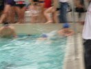 שם הקובץ=meeting-natation-privas-06.JPG
גודל הקובץ=50KB
מימדים=800x600
נוסף בתאריך=07 לפברואר, 2007 meeting-natation-privas-06.JPG