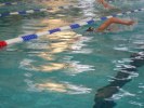 Filename=meeting-natation-privas-57.JPG
Filesize=79KB
Dimensions=800x600
Date added=Feb 07, 2007 meeting-natation-privas-57.JPG
