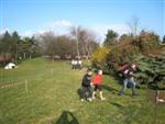 aquathlon-rillieux-2009-177.jpg