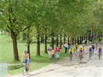 vaulx-villeurbanne-61.jpg