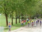 vaulx-villeurbanne-62.jpg