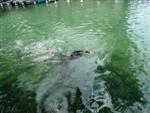 annecy-17.jpg