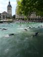 annecy-34.jpg