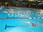 aquathlon-rillieux-2010-89.jpg