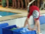 aquathlon-rillieux-2010-92.jpg