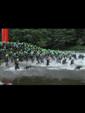 triathlon-cublize-2010-52.jpg