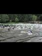 triathlon-cublize-2010-53.jpg