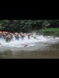 triathlon-cublize-2010-56.jpg