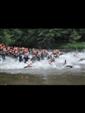 triathlon-cublize-2010-57.jpg
