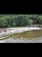 triathlon-cublize-2010-58.jpg