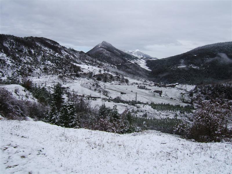 stage-damian-2010-186.jpg