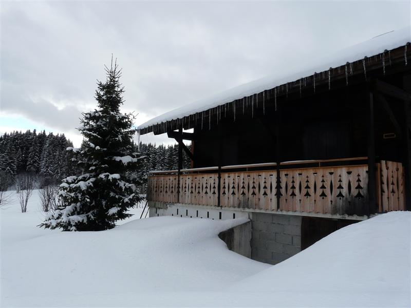 praz-de-lys-enfants-36.jpg