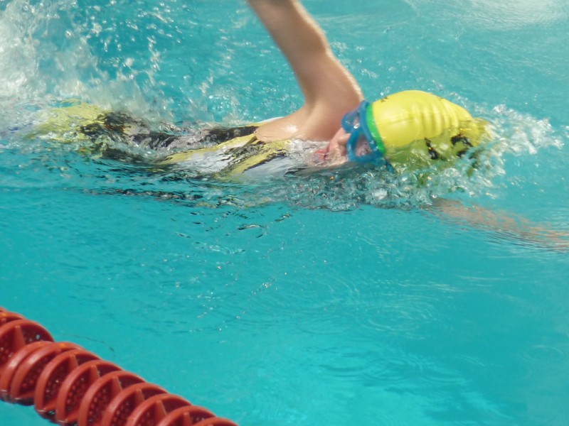 aquathlon-2011-1025.jpg