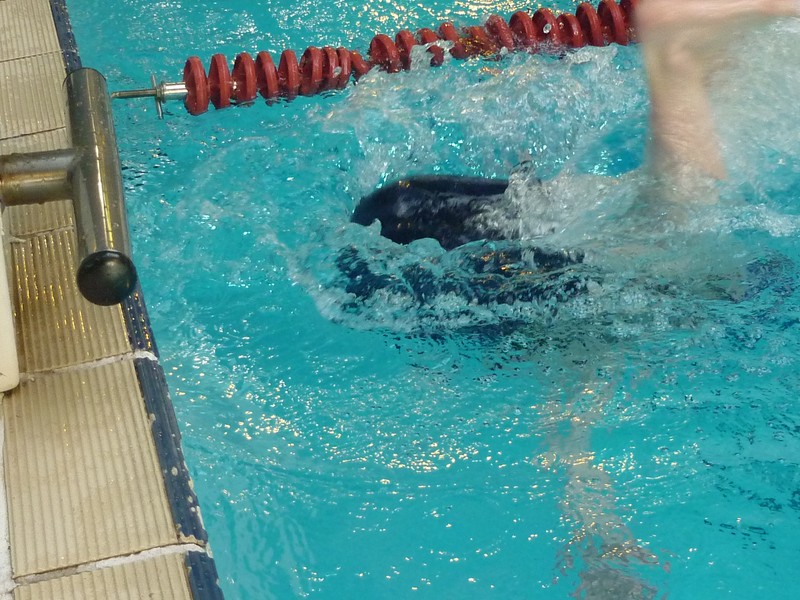 aquathlon-2011-1041.jpg
