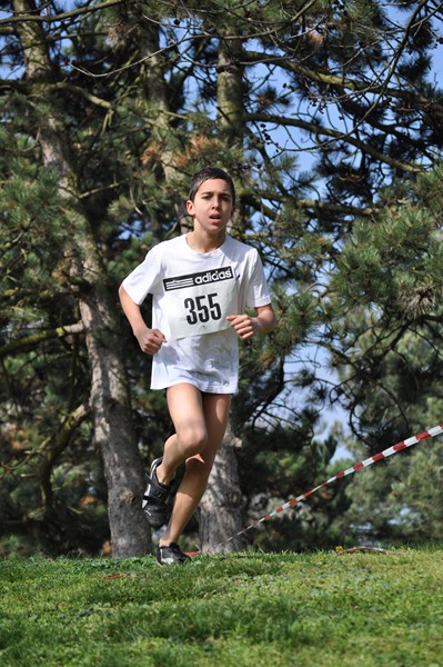 aquathlon-2011-650.jpg