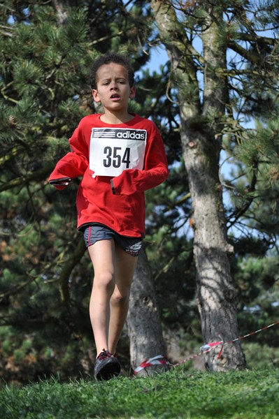 aquathlon-2011-824.jpg