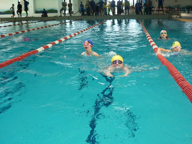 aquathlon-2011-981.jpg