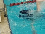 aquathlon-2011-.jpg