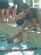 aquathlon-2011-.jpg