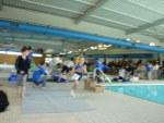 aquathlon-2011-227.jpg
