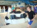 aquathlon-2011-446.jpg