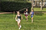 aquathlon-2011-643.jpg