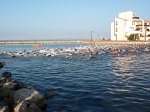 barcares-29.jpg