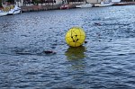 barcares-49.jpg
