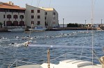 barcares-65.jpg