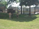 faites-du-sport-172.jpg