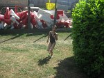 faites-du-sport-55.jpg