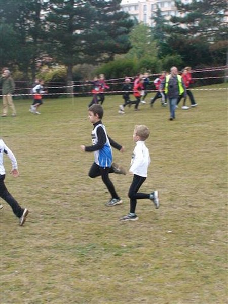 cross-mamelon-11.jpg