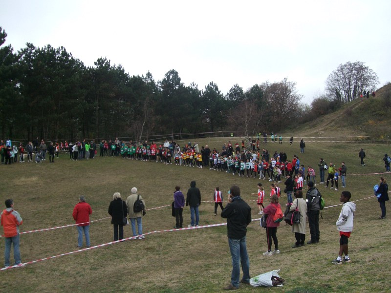 cross-mamelon-20.jpg