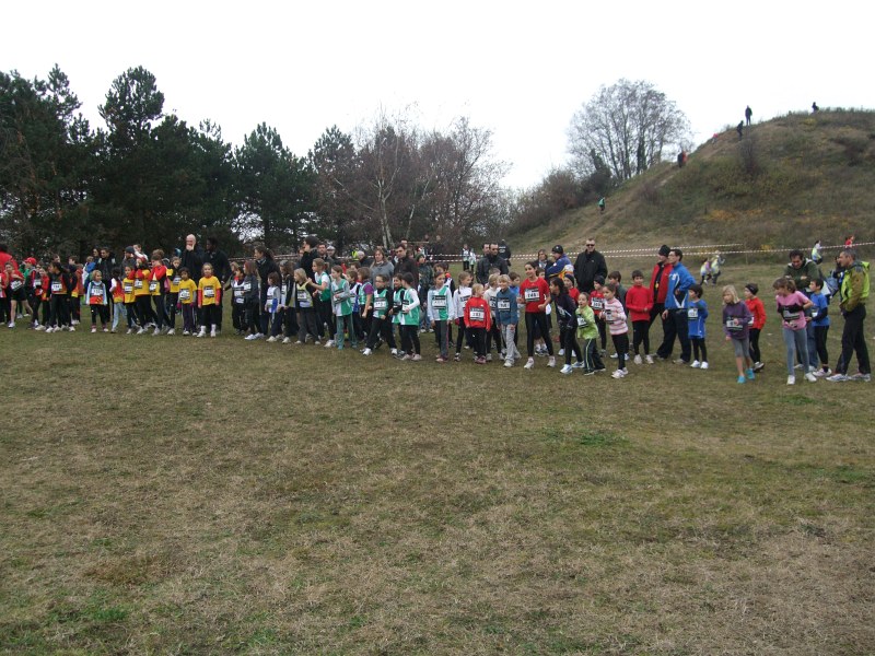 cross-mamelon-21.jpg