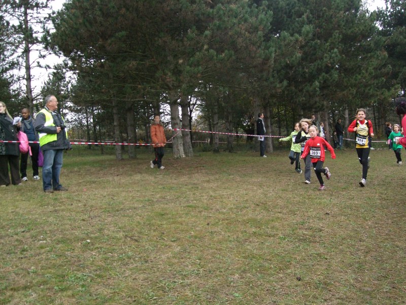cross-mamelon-23.jpg